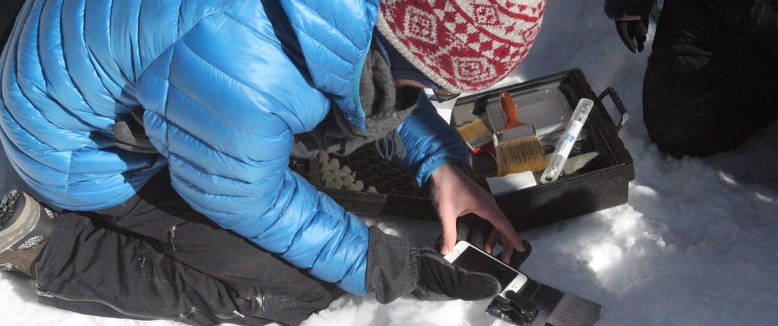measuring snowflakes
